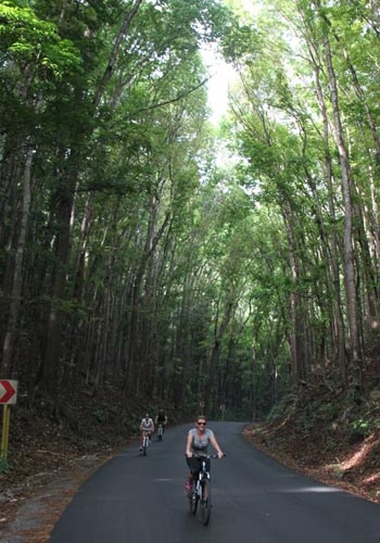  - BugoyBikers-MahoganyForest