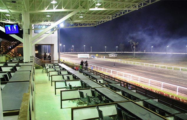 Metro Turf leads way