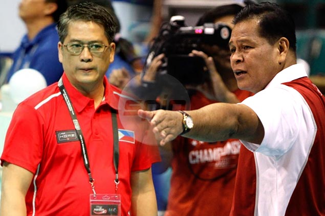 Vicente named national women's volley head coach, Acaylar tapped to ...