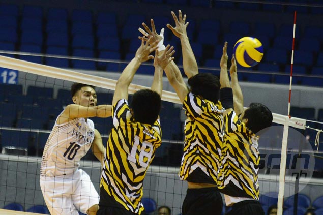 NU Bulldogs fight back from a set down to beat UST Tigers