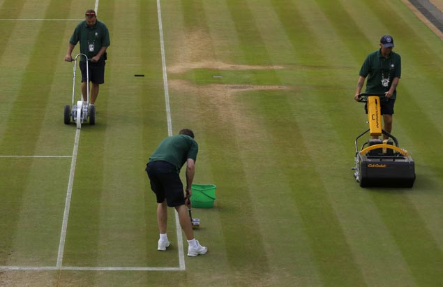 Every morning, greenskeepers mow, paint, mop Wimbledon's grass courts