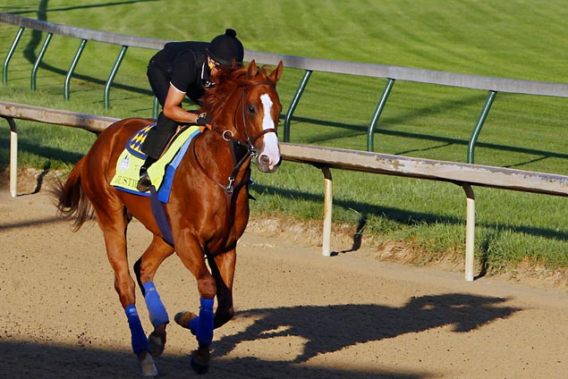 Baffert sees similarities between Justify, American Pharoah but Espinosa won't put the two in the same class