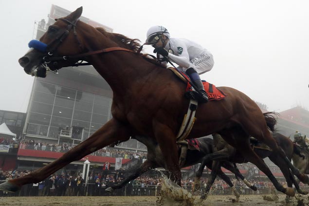 Enjoying career revival, ‘Big Money’ Mike Smith, 52, has shot at Triple Crown aboard Justify
